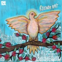 Chemtrails - Cuckoo Spit Ep i gruppen VINYL / Pop-Rock hos Bengans Skivbutik AB (3728539)