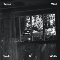 Please Wait - Black & White i gruppen VINYL / RnB-Soul hos Bengans Skivbutik AB (3728545)