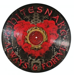 Whitesnake - Always & Forever (Ltd Ed Picture Di i gruppen VINYL / Metal/ Heavy metal hos Bengans Skivbutik AB (3734527)