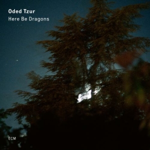 Tzur Oded - Here Be Dragons i gruppen Externt_Lager / Naxoslager hos Bengans Skivbutik AB (3736660)