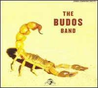 Budos Band The - The Budos Band Ii i gruppen VINYL / Pop-Rock,RnB-Soul hos Bengans Skivbutik AB (3742385)