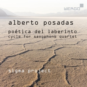 Posadas Alberto - Poetica Del Laberinto - Cycle For S i gruppen Externt_Lager / Naxoslager hos Bengans Skivbutik AB (3743362)