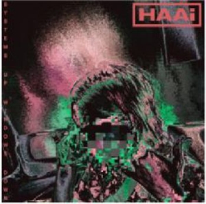 Haai - Systems Up, Windows Down i gruppen VINYL / Dans/Techno hos Bengans Skivbutik AB (3747632)