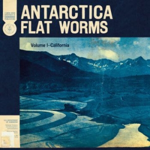 Flat Worms - Antarctica i gruppen MK Test 9 hos Bengans Skivbutik AB (3747649)