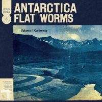 Flat Worms - Antarctica i gruppen Pop-Rock hos Bengans Skivbutik AB (3747681)