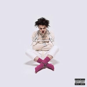 Yungblud - 21st Century Liability i gruppen Minishops / Yungblud hos Bengans Skivbutik AB (3754555)