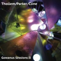 Thollem/Parker/Cline - Gowanus Sessions Ii i gruppen VI TIPSER / Julegavetips CD hos Bengans Skivbutik AB (3759601)