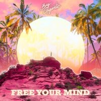 Big Gigantic - Free Your Mind i gruppen VINYL / Dance-Techno hos Bengans Skivbutik AB (3766602)