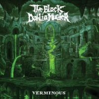 BLACK DAHLIA MURDER THE - VERMINOUS i gruppen VINYL / Metal hos Bengans Skivbutik AB (3768244)