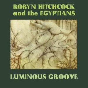 Hitchcock Robyn - Luminous Groove Box Set i gruppen CD / Rock hos Bengans Skivbutik AB (3768776)