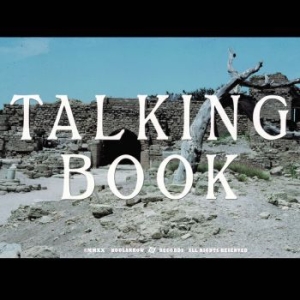 Talking Book - Talking Book Ii (Ltd.Ed.) i gruppen VI TIPSER / Julegavetips Vinyl hos Bengans Skivbutik AB (3772459)