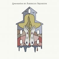 American Aquarium - Lamentations i gruppen CD hos Bengans Skivbutik AB (3772894)