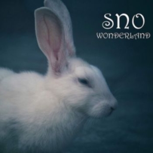 Stonewall Noise Orchestra - Wonderland i gruppen CD / Rock hos Bengans Skivbutik AB (3778428)