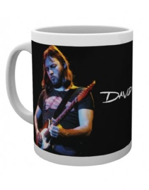 David Gilmour - Live Photo Mug i gruppen Merchandise hos Bengans Skivbutik AB (3778745)