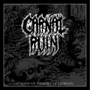 Carnal Ruin - Gnosis Of Immortal Domain (Vinyl) i gruppen VINYL / Metal hos Bengans Skivbutik AB (3780748)