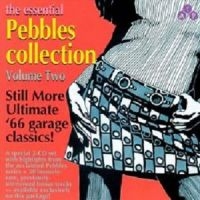 Various Artists - Essential Pebbles Vol. 2 i gruppen CD / Rock hos Bengans Skivbutik AB (3782640)