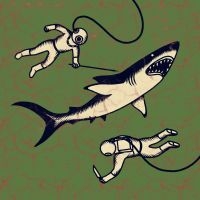 Shepparton Airplane - Sharks i gruppen VINYL hos Bengans Skivbutik AB (3788059)