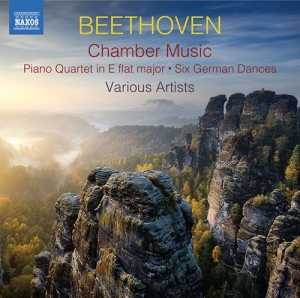 Beethoven Ludwig Van - Chamber Music (2Cd) i gruppen VI TIPSER / Julegavetips CD hos Bengans Skivbutik AB (3788261)