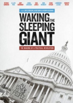 Waking The Sleeping Giant: The Maki - Documentary i gruppen Musikkk-DVD & Bluray hos Bengans Skivbutik AB (3790188)