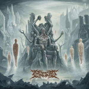 Ingested - Where Only Gods May Tread i gruppen VINYL / Metal hos Bengans Skivbutik AB (3802579)