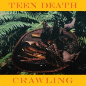 Teen Death - Crawling (Color Vinyl) i gruppen VINYL hos Bengans Skivbutik AB (3806517)