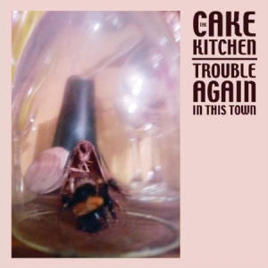 Cakekitchen - Trouble Again In This Town i gruppen VINYL hos Bengans Skivbutik AB (3806554)