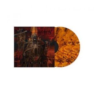 Katalepsy - Terra Mortuus Est i gruppen VINYL / Metal/ Heavy metal hos Bengans Skivbutik AB (3808082)