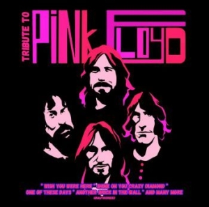 Pink Floyd - Tribute To Pink Floyd i gruppen CD / Pop-Rock hos Bengans Skivbutik AB (3820422)