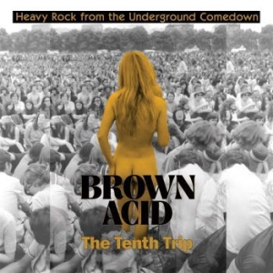 V/A - Brown Acid: The Tenth Trip - Brown Acid: The Tenth Trip (Lila Vi i gruppen VINYL / Metal/ Heavy metal hos Bengans Skivbutik AB (3829146)