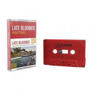 Late Bloomer - Waiting i gruppen Rock hos Bengans Skivbutik AB (3829825)