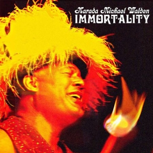 Walden Narada Michael - Immortality i gruppen CD / Jazz/Blues hos Bengans Skivbutik AB (3833117)