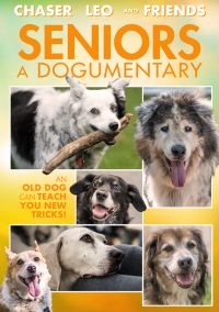 Seniors: A Dogumentary - Film i gruppen Musikkk-DVD & Bluray hos Bengans Skivbutik AB (3835044)