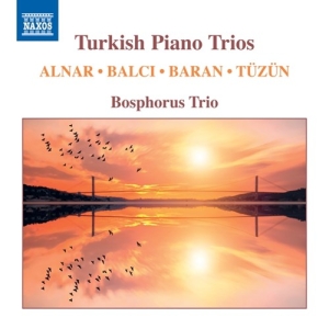 Various - Turkish Piano Trios i gruppen VI TIPSER / Julegavetips CD hos Bengans Skivbutik AB (3838216)