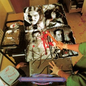 Carcass - Necroticism - Descanting The Insalu i gruppen VINYL / Metal hos Bengans Skivbutik AB (3839730)