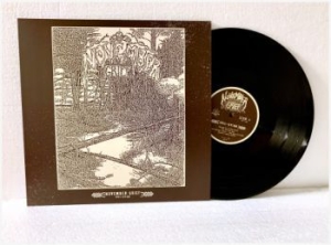 November Grief - Evil-Ution (Vinyl) i gruppen VINYL / Metal hos Bengans Skivbutik AB (3842348)