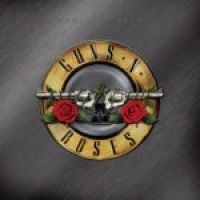 Guns N' Roses - Greatest Hits (2Lp) i gruppen VINYL / Best Of,Metal,Pop-Rock hos Bengans Skivbutik AB (3843002)