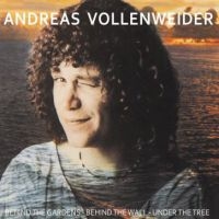 Vollenweider Andreas - Behind The Gardens - Behind The Wal i gruppen VINYL / Pop-Rock hos Bengans Skivbutik AB (3843923)