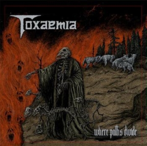 Toxaemia - Where Paths Divide (Vinyl) i gruppen VINYL / Metal hos Bengans Skivbutik AB (3844219)