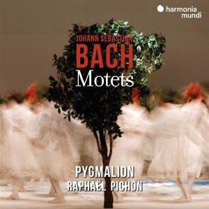 Pygmalion / Raphael Pichon - Bach Motets i gruppen CD / Klassisk,Annet hos Bengans Skivbutik AB (3848643)