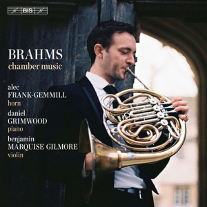 Brahms Johannes - Chamber Music i gruppen Musikk / SACD / Klassisk hos Bengans Skivbutik AB (3848670)