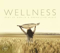 Wellness - Wellness i gruppen CD / Pop-Rock hos Bengans Skivbutik AB (3852515)