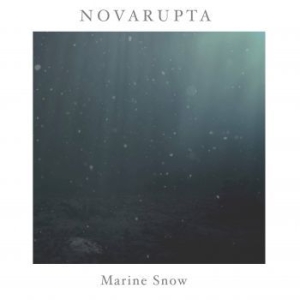 Novarupta - Marine Snow i gruppen VI TIPSER / Årsbestelistor 2020 / Bengans Sthlm Årsbeste 2020 hos Bengans Skivbutik AB (3860028)