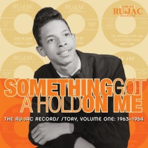 Various Artists - Something Got A Hold On Me: i gruppen CD / RnB-Soul hos Bengans Skivbutik AB (3900409)