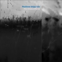 Shipp Matthew (Trio) - Unidentifiable i gruppen VI TIPSER / Årsbestelistor 2020 / JazzTimes 2020 hos Bengans Skivbutik AB (3901184)