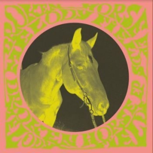 Melody Fields - Broken Horse i gruppen VINYL / Pop-Rock,Svensk Musikkk hos Bengans Skivbutik AB (3903361)