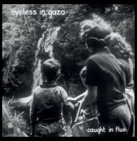 Eyeless In Gaza - Caught In Flux i gruppen VINYL / Pop-Rock hos Bengans Skivbutik AB (3903392)