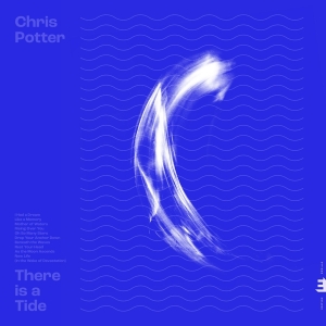 Potter Chris - There Is A Tide i gruppen Labels / Woah Dad / Dold_tillfall hos Bengans Skivbutik AB (3910645)