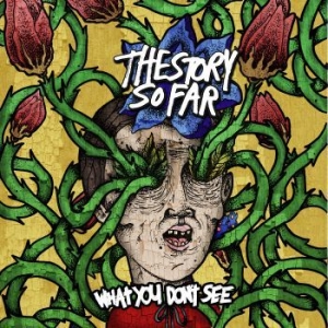 Story So Far - What You Don't See i gruppen VINYL / Rock hos Bengans Skivbutik AB (3910866)