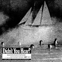 Mort Garson - Didn't You Hear? i gruppen VINYL / Dance-Techno hos Bengans Skivbutik AB (3912172)