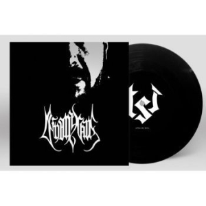 Deinonychus - Audial Representation Of Misery And i gruppen VINYL / Metal/ Heavy metal hos Bengans Skivbutik AB (3917295)